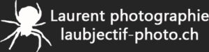 Laurent Renevey Photographie Logo